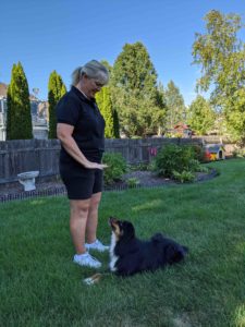 Dog trainer giving the dog a command to stay.