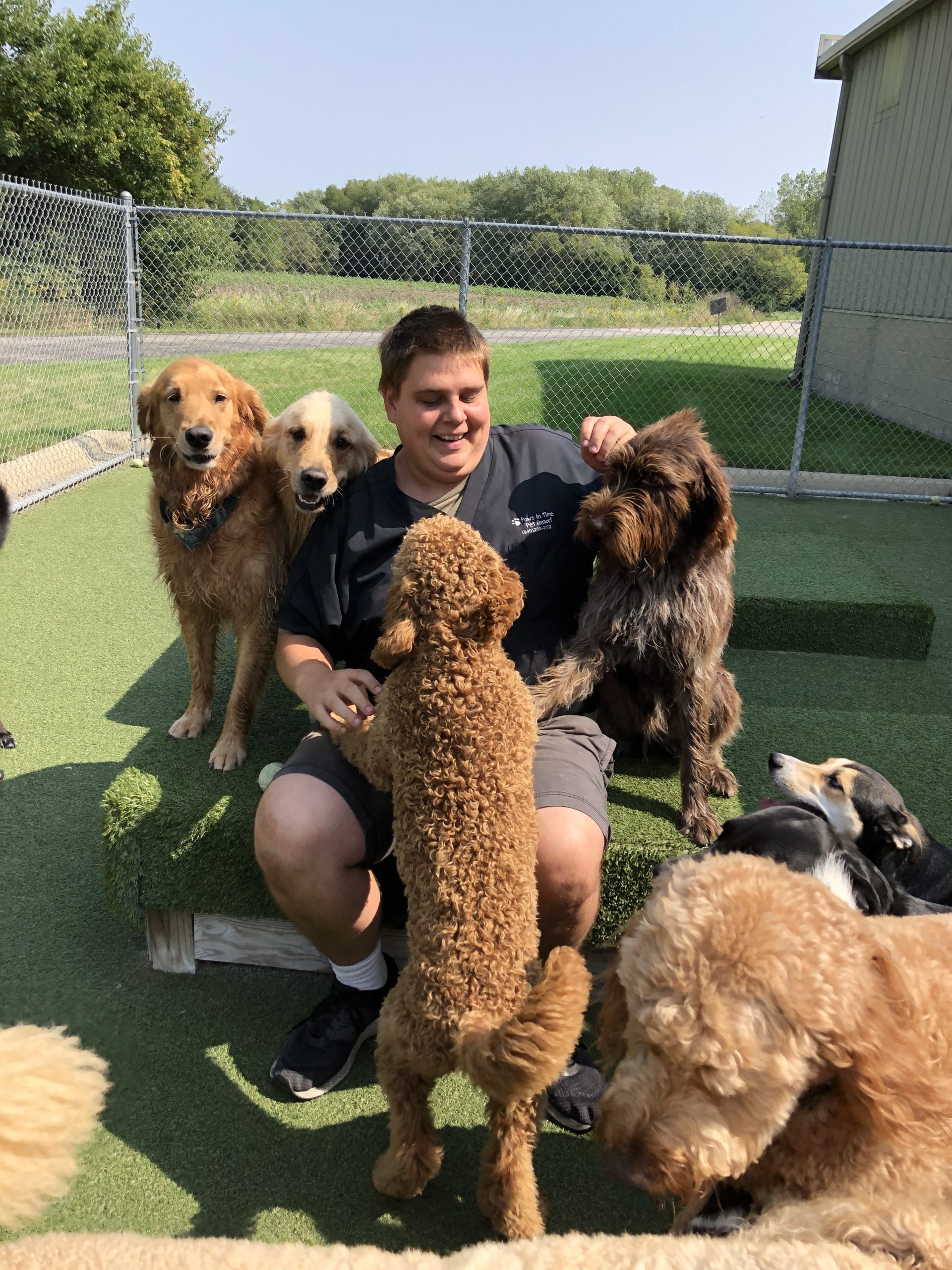 dog daycare West Chicago IL